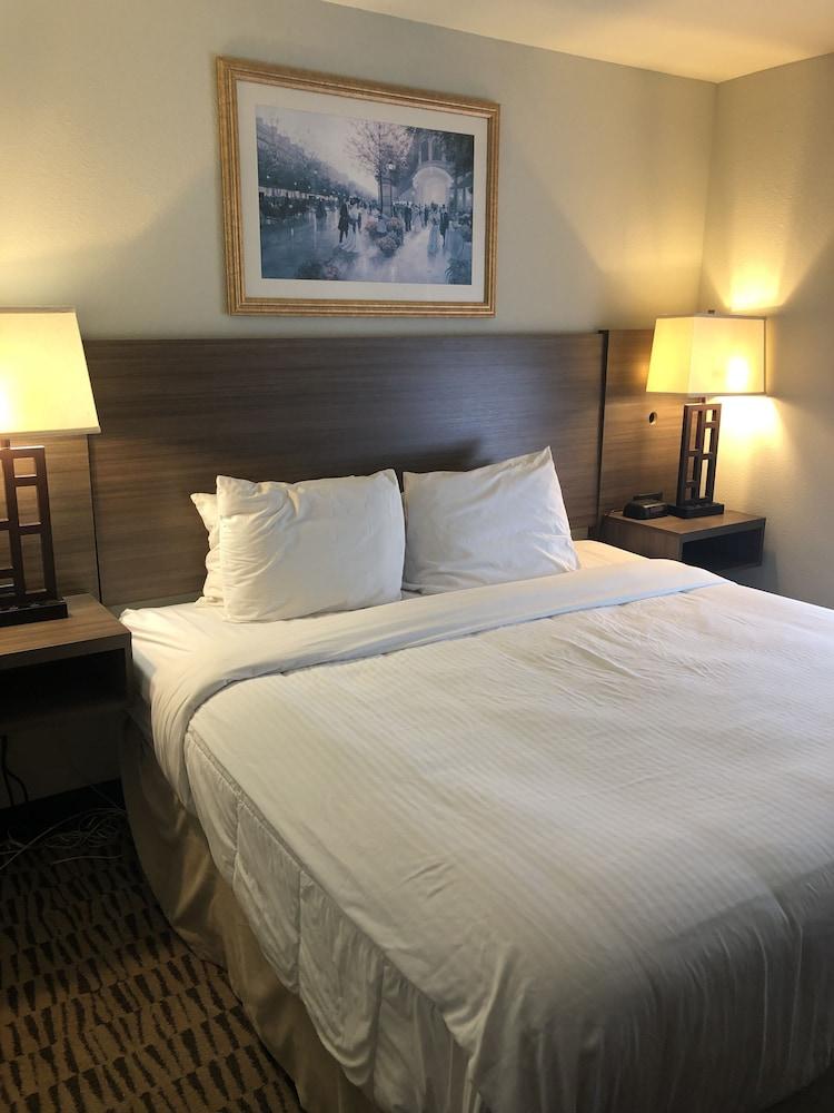 ฮอว์ทอร์น สวีท บาย วินด์แฮม ชาร์ลส์ตัน Hotel ชาร์ลสตัน ภายนอก รูปภาพ